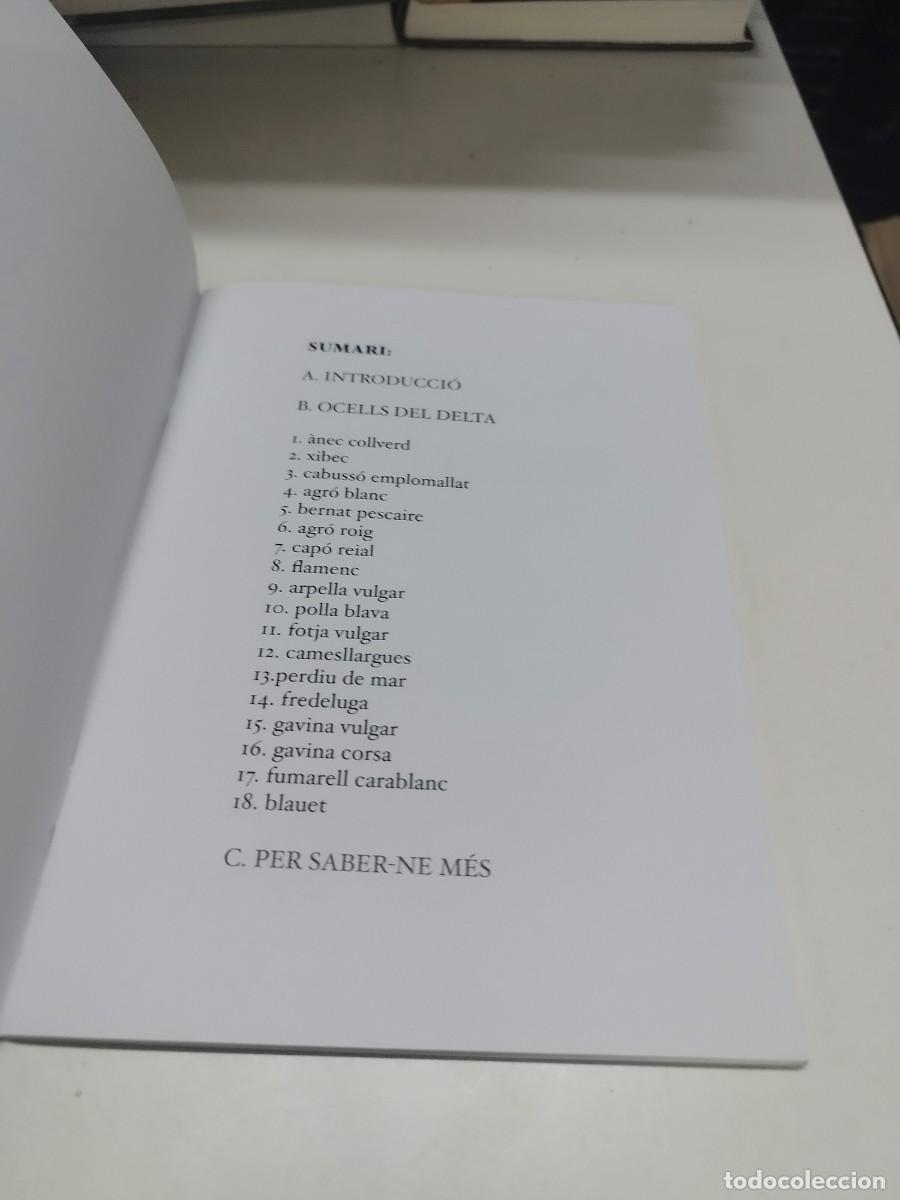 Libros de segunda mano: Ocells del Delta (f&agrave;cilment identificables). Guia de camp. - Foto 4
