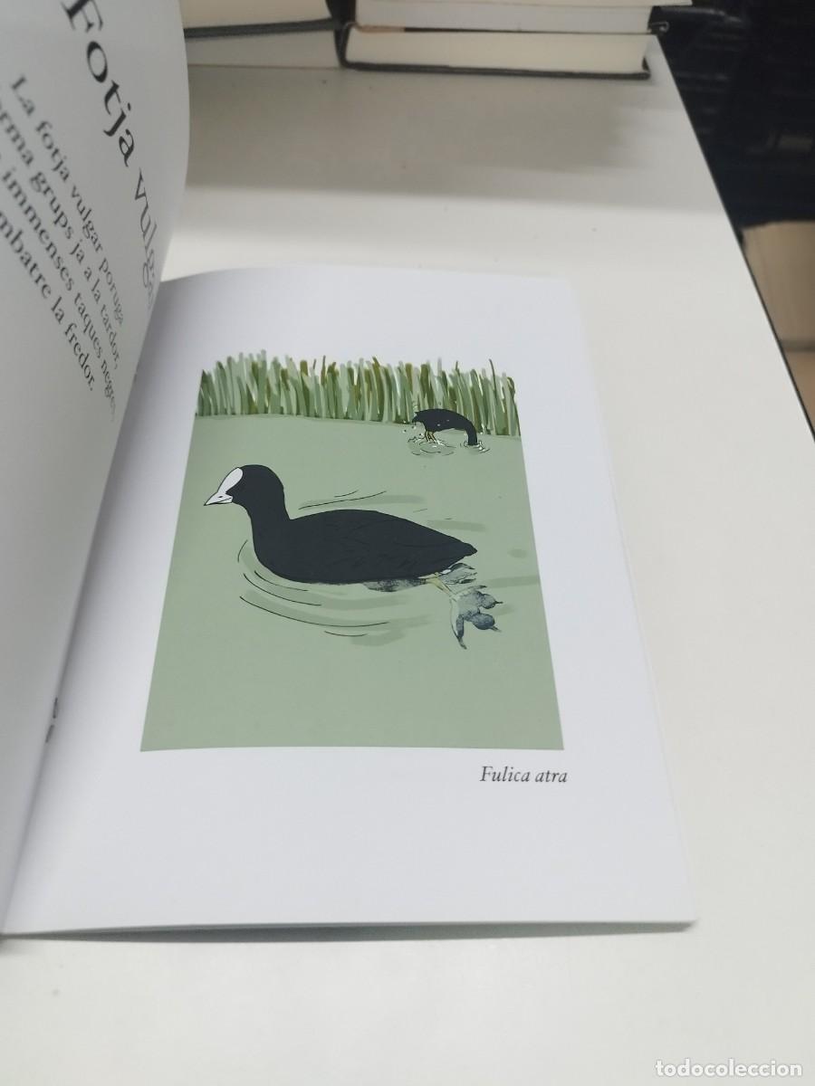 Libros de segunda mano: Ocells del Delta (f&agrave;cilment identificables). Guia de camp. - Foto 5