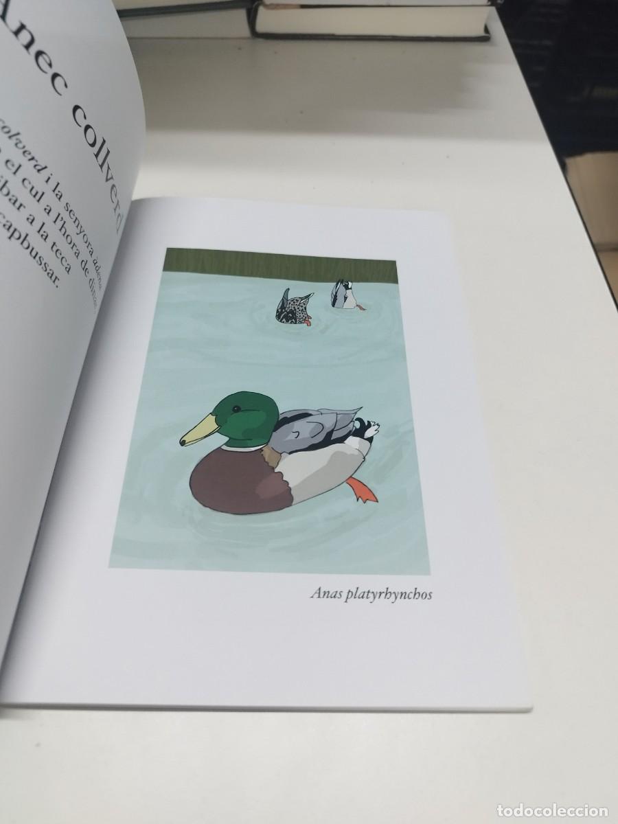 Libros de segunda mano: Ocells del Delta (f&agrave;cilment identificables). Guia de camp. - Foto 6