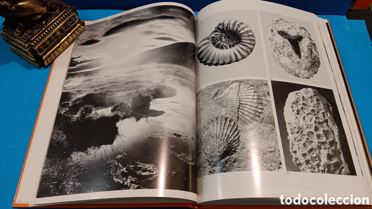 Libros de segunda mano: LA NATURALEZA.....MAX A. WYSS.......JAIMES LIBROS......1977... - Foto 2