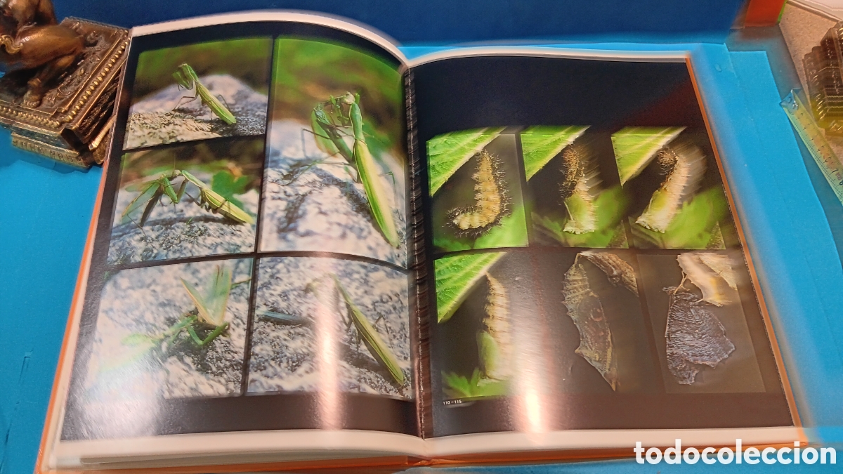 Libros de segunda mano: LA NATURALEZA.....MAX A. WYSS.......JAIMES LIBROS......1977... - Foto 4