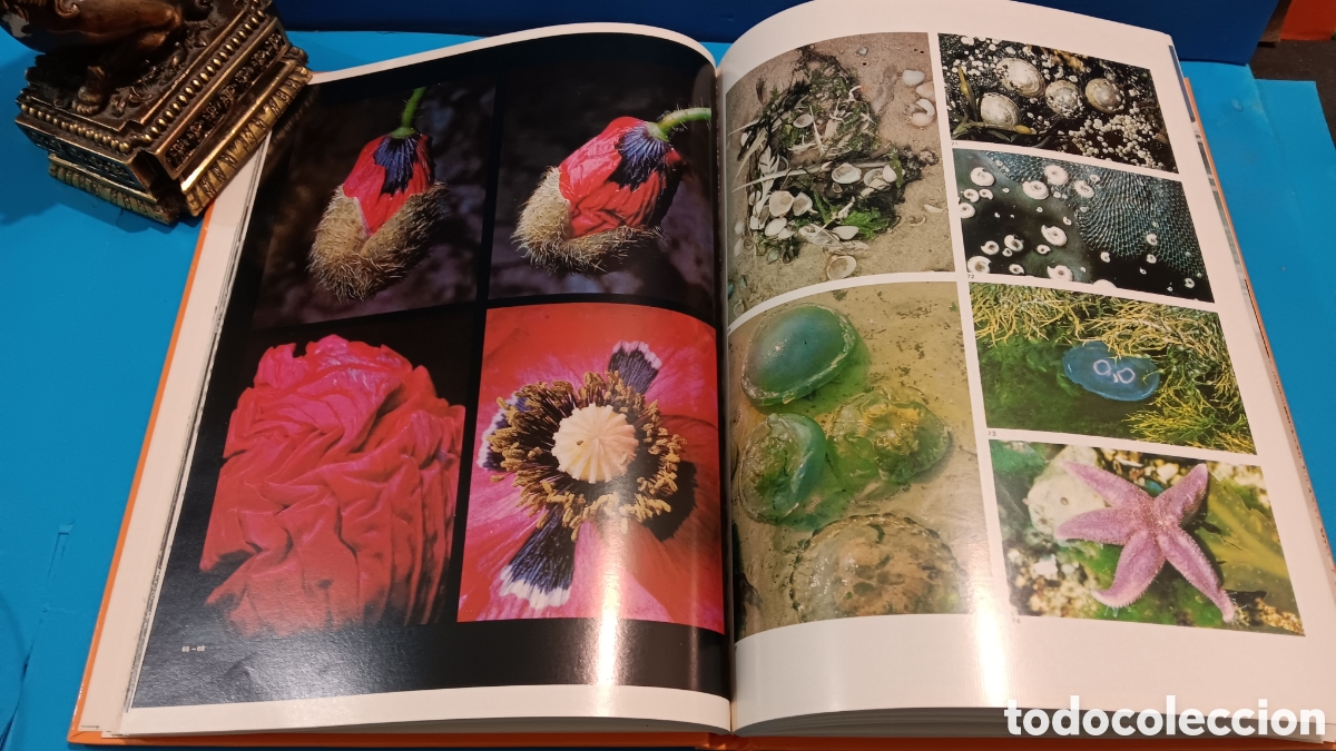 Libros de segunda mano: LA NATURALEZA.....MAX A. WYSS.......JAIMES LIBROS......1977... - Foto 5