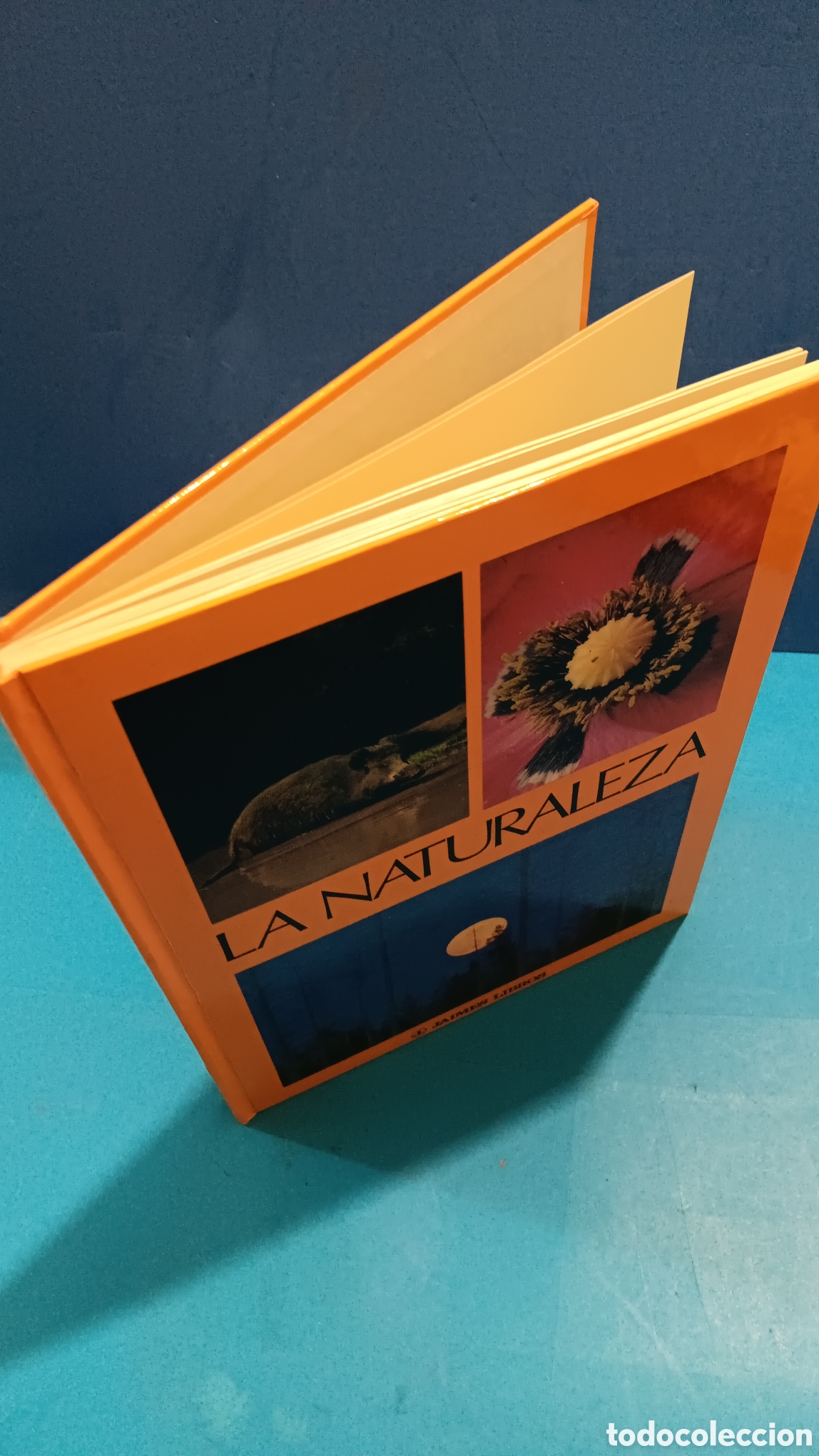 Libros de segunda mano: LA NATURALEZA.....MAX A. WYSS.......JAIMES LIBROS......1977... - Foto 6
