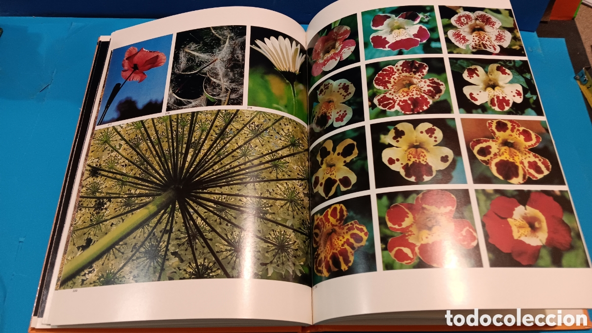Libros de segunda mano: LA NATURALEZA.....MAX A. WYSS.......JAIMES LIBROS......1977... - Foto 7