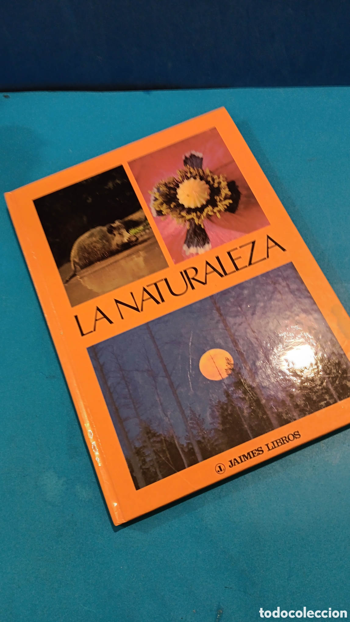 Libros de segunda mano: LA NATURALEZA.....MAX A. WYSS.......JAIMES LIBROS......1977... - Foto 8