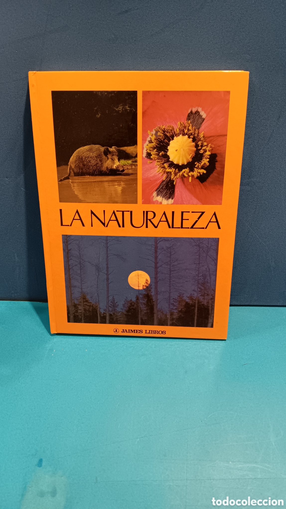 Libros de segunda mano: LA NATURALEZA.....MAX A. WYSS.......JAIMES LIBROS......1977... - Foto 1