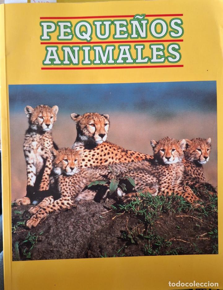 Libros de segunda mano: PEQUE&Ntilde;OS ANIMALES. - - Foto 1