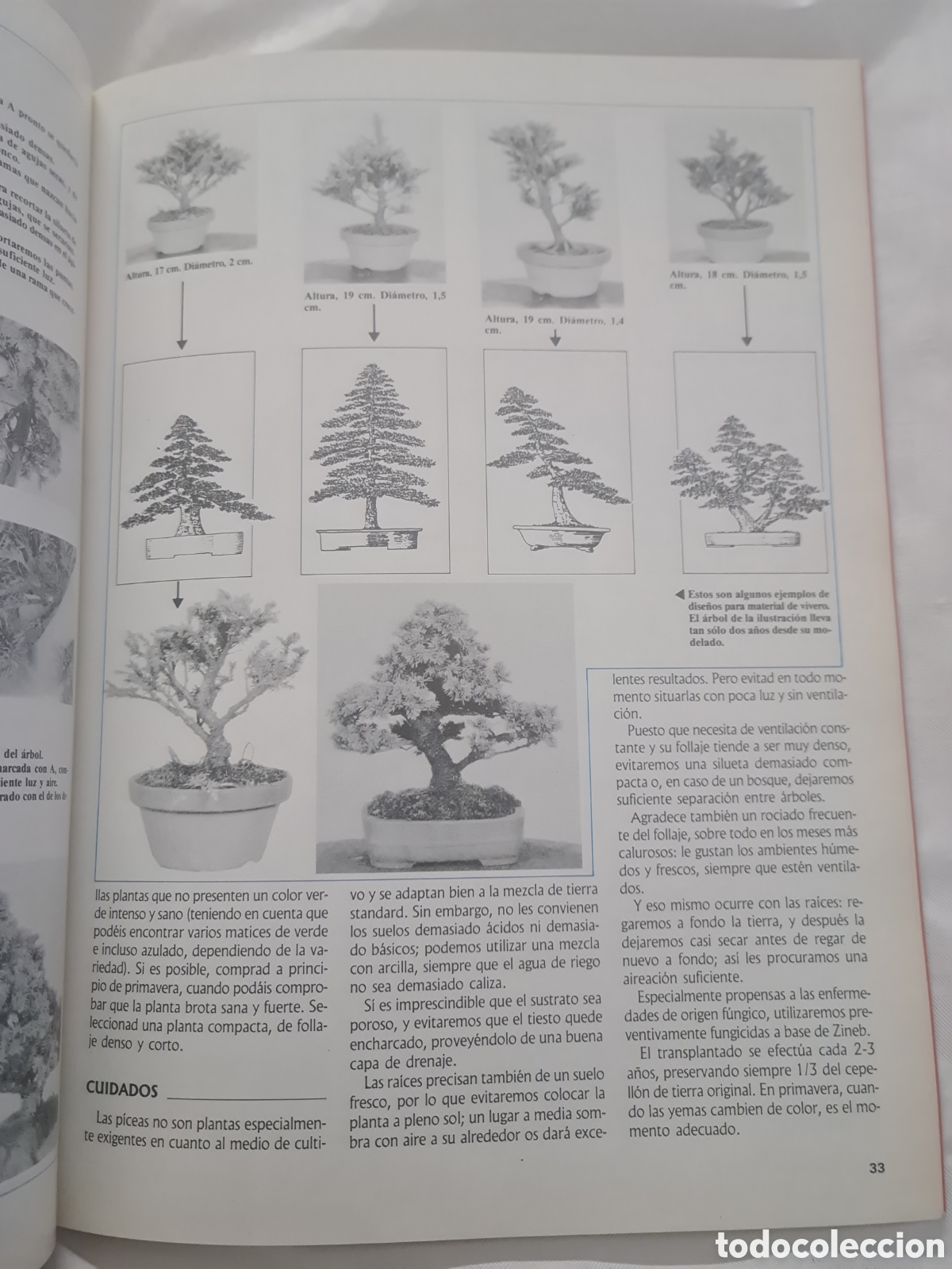 Libros de segunda mano: Revista Bonsai N 8 - Foto 3
