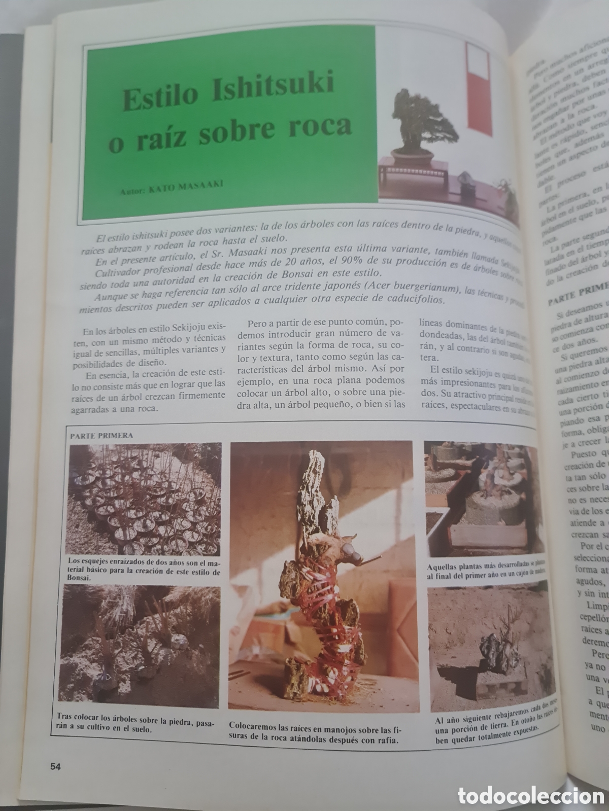 Libros de segunda mano: Revista Bonsai N 8 - Foto 4