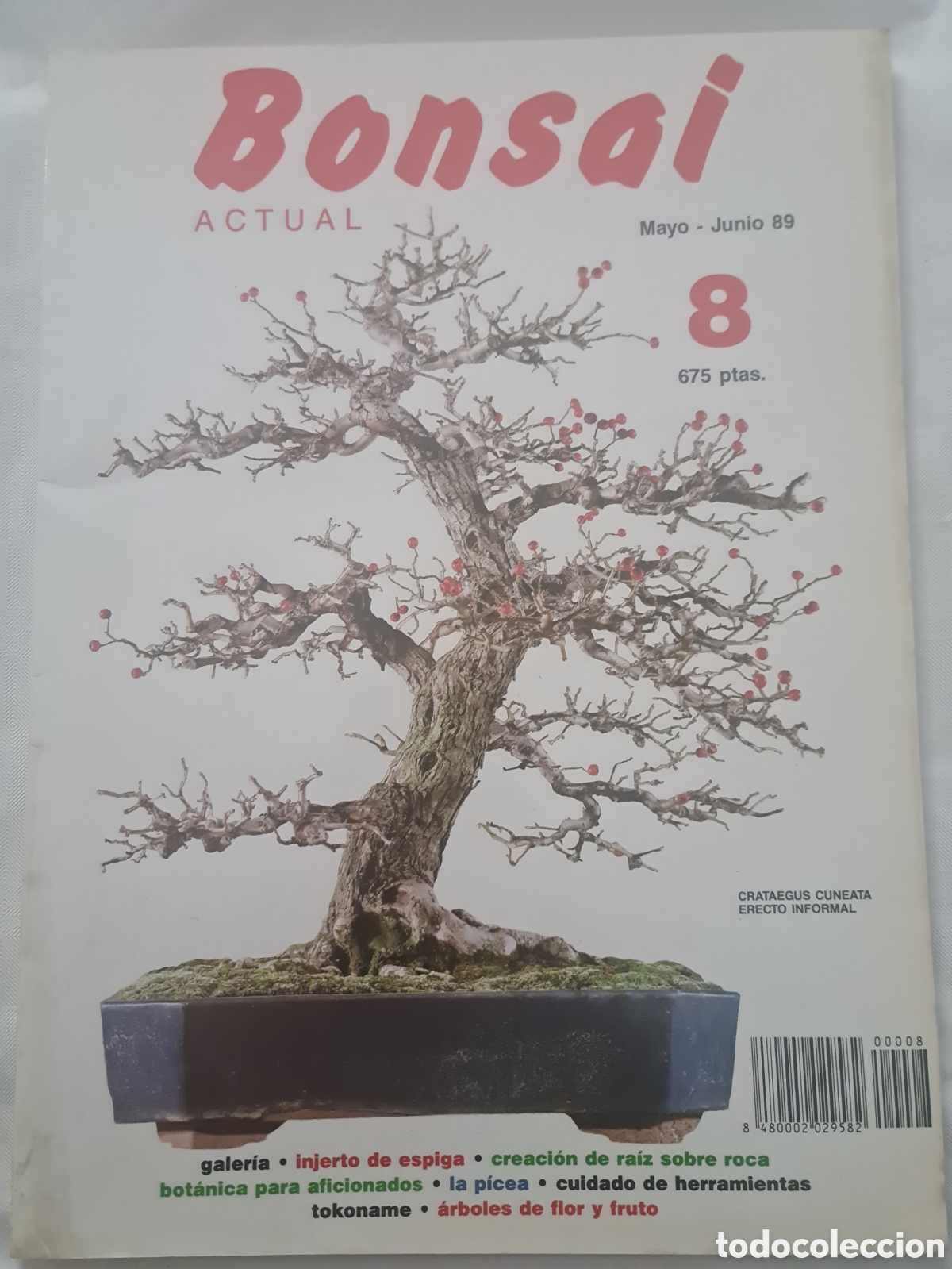 Libros de segunda mano: Revista Bonsai N 8 - Foto 1