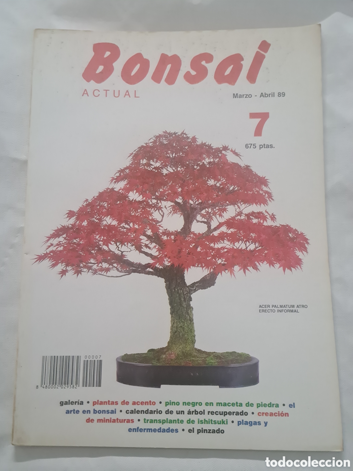 Libros de segunda mano: Revista Bonsai N 7 - Foto 1