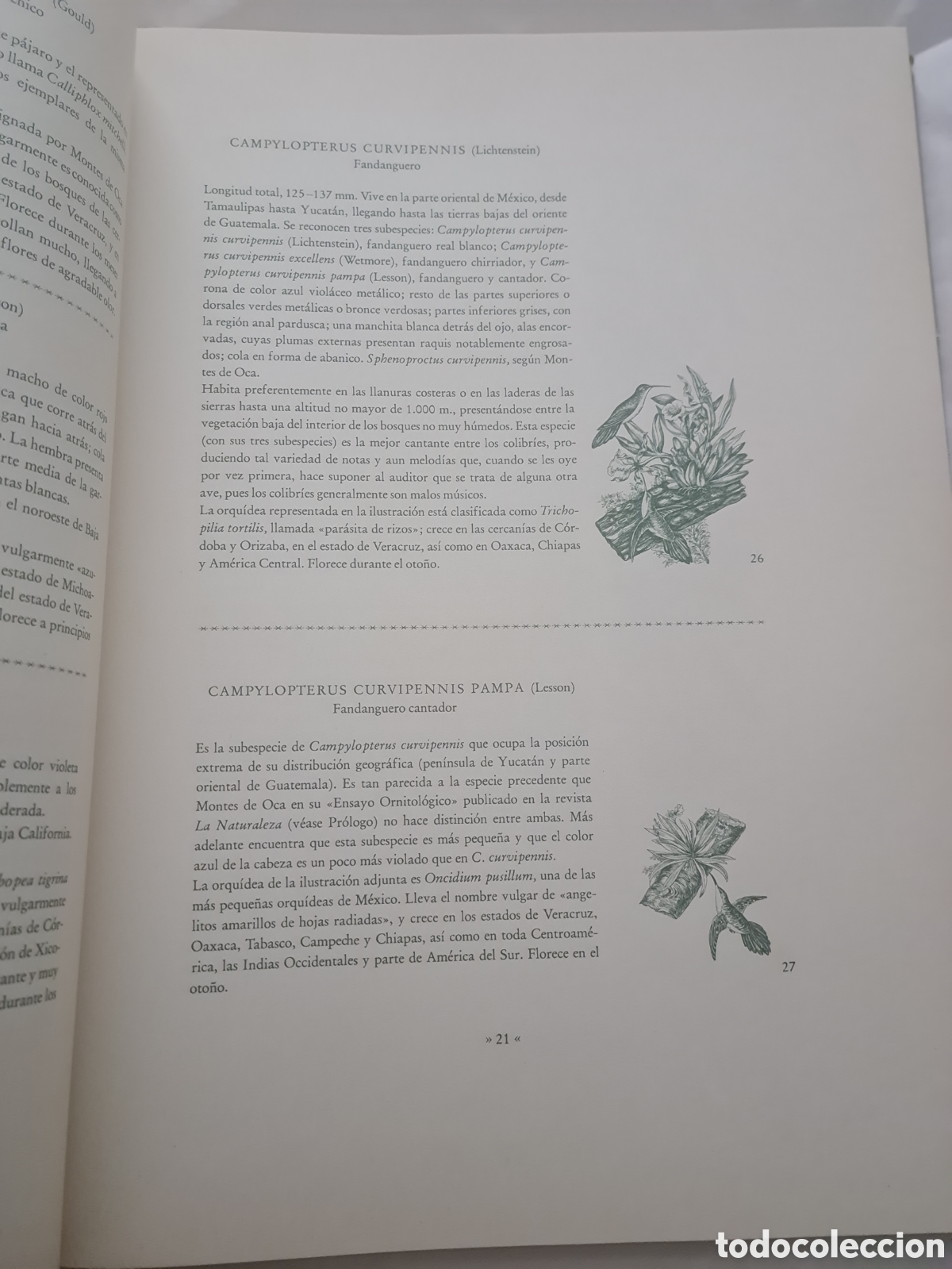 Libros de segunda mano: Colibr&iacute;es y Orqu&iacute;deas de M&eacute;xico - Foto 3