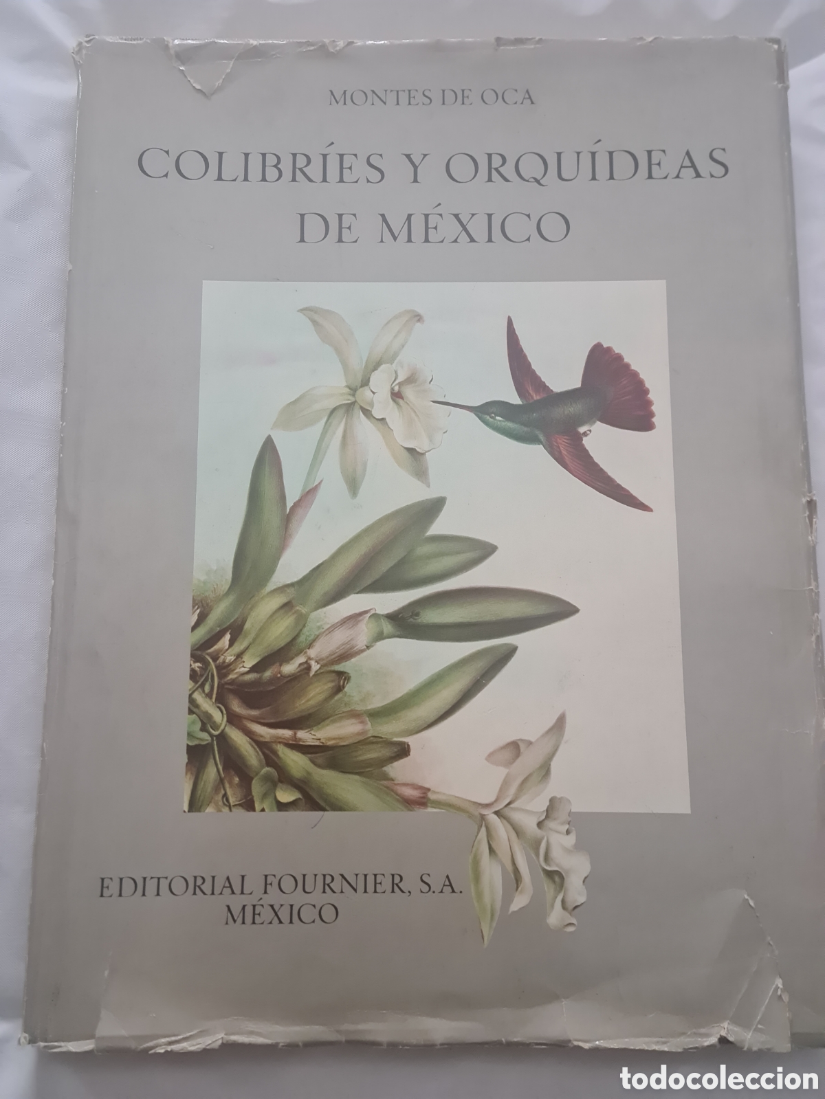 Second hand books: Colibr&iacute;es y Orqu&iacute;deas de M&eacute;xico