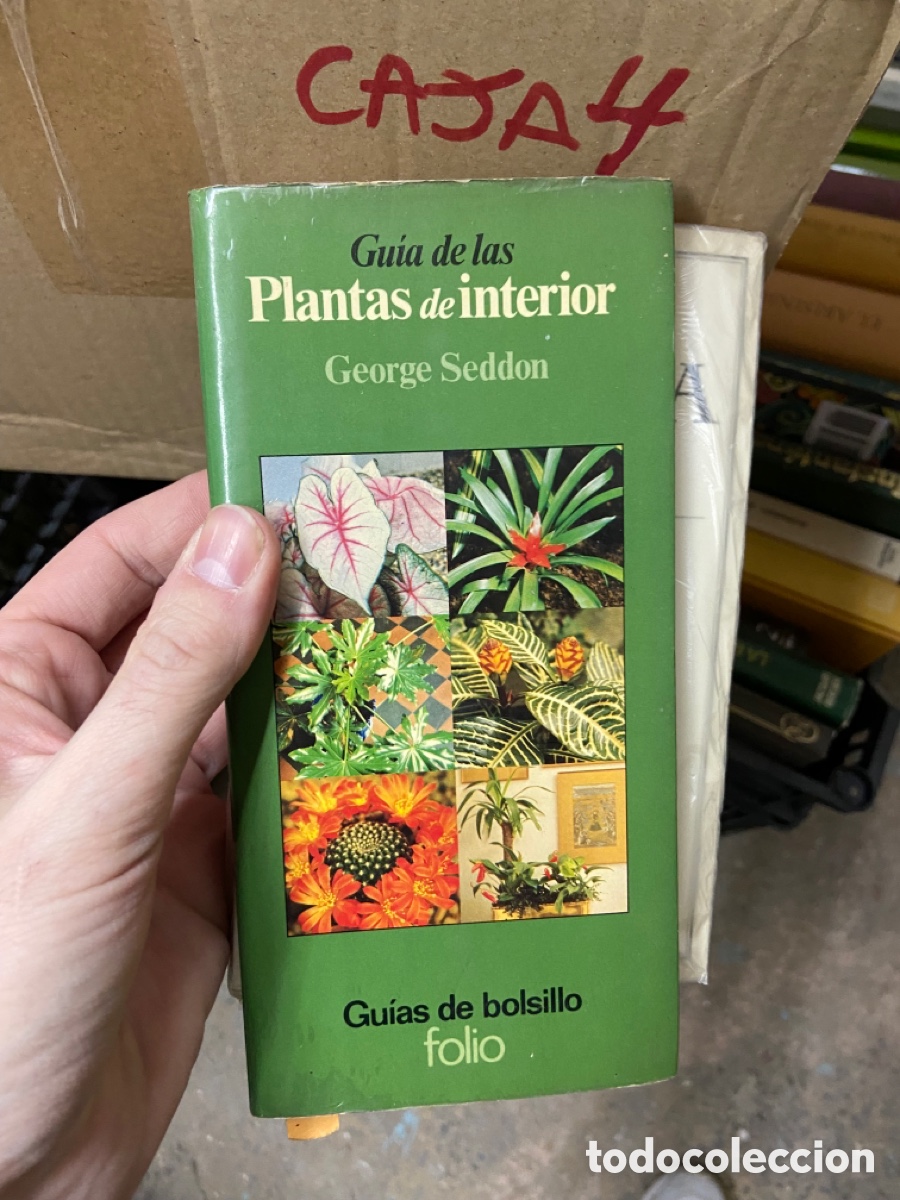 Libros de segunda mano: Caja4 Gu&iacute;a de las Plantas de interior George Seddon - Foto 1