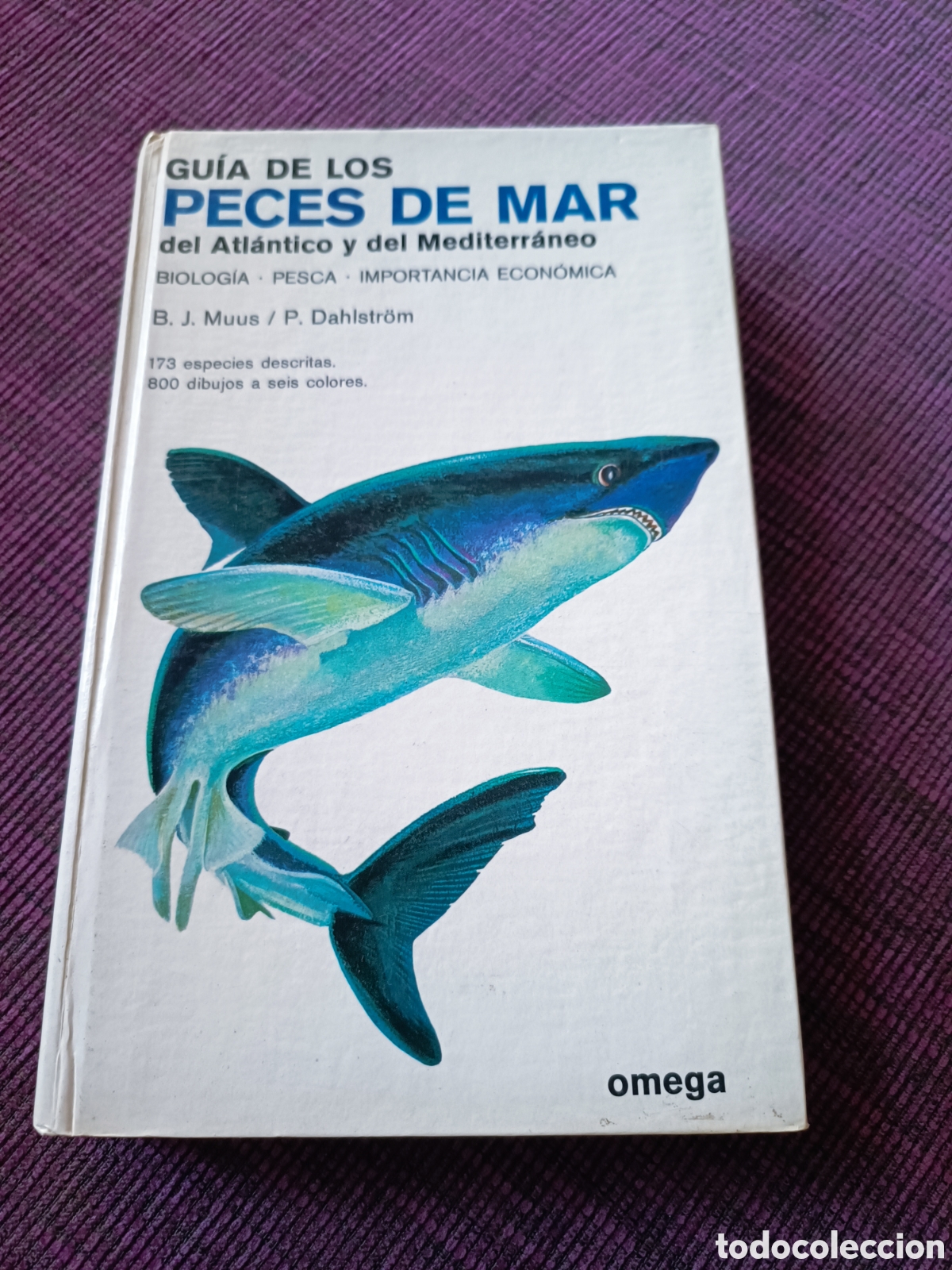 Libros de segunda mano: Guia de los peces de mar - Foto 1