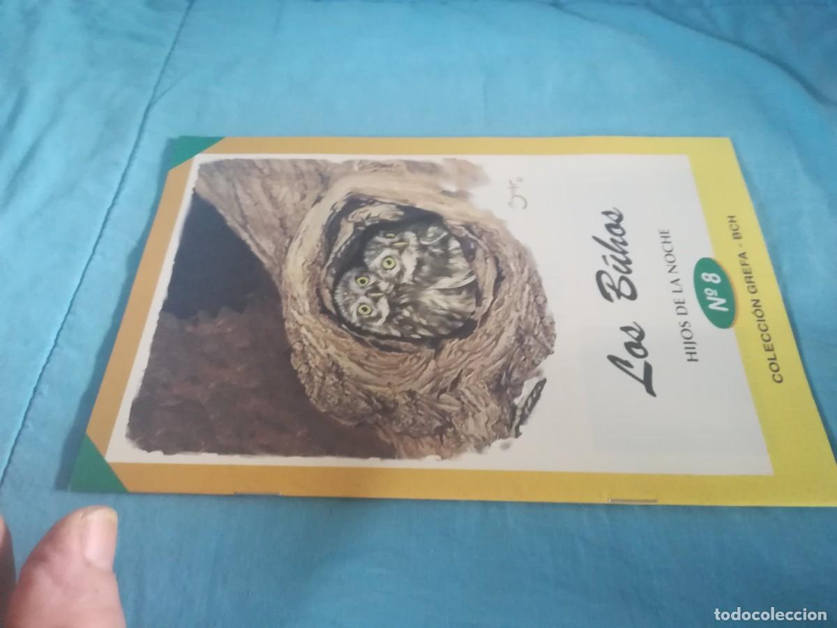 Libros de segunda mano: LOS BUHOS, HIJOS DE LA NOCHE / 8 / CONS 650 / GREFA - Foto 1