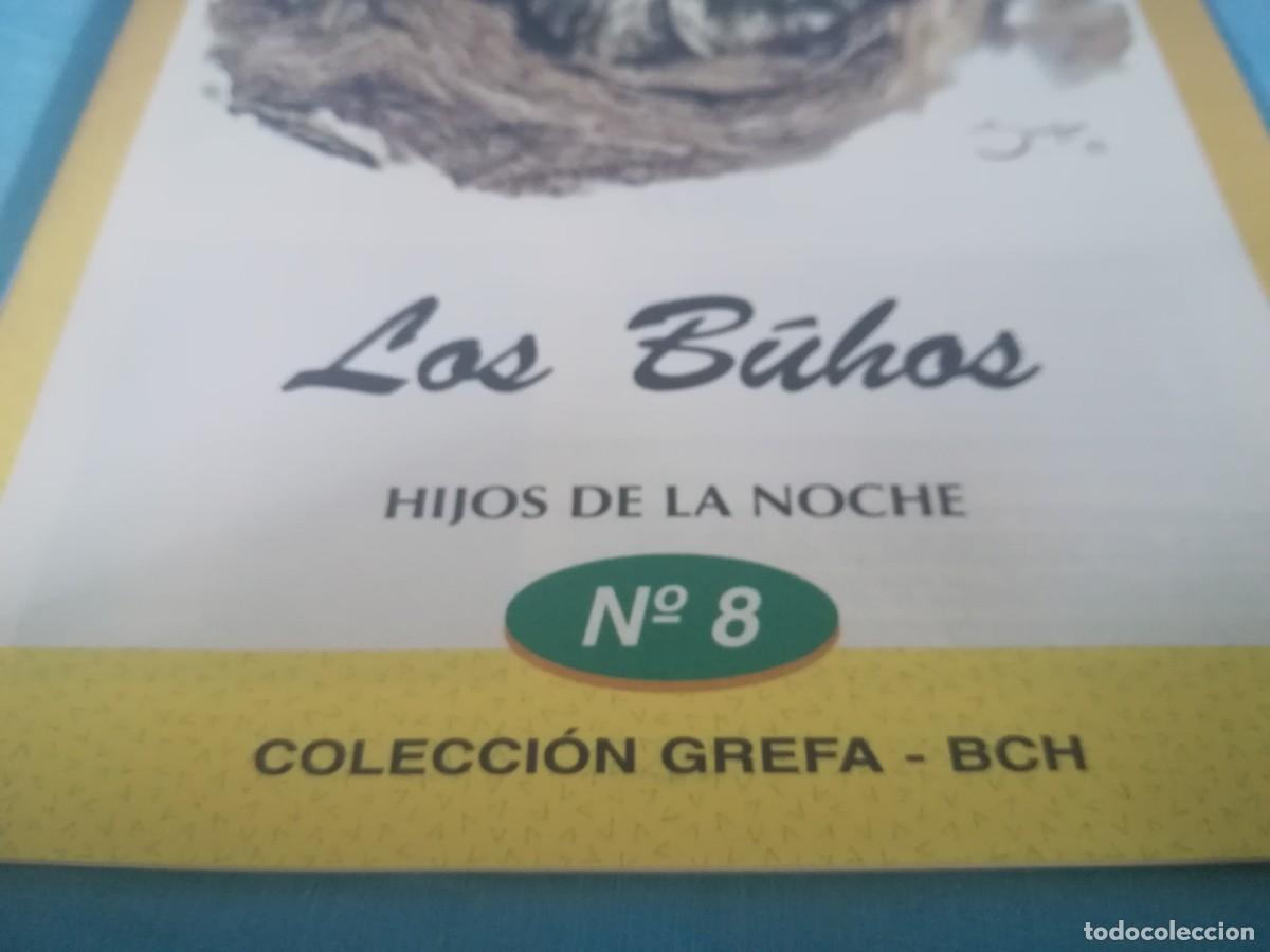 Libros de segunda mano: LOS BUHOS, HIJOS DE LA NOCHE / 8 / CONS 650 / GREFA - Foto 2