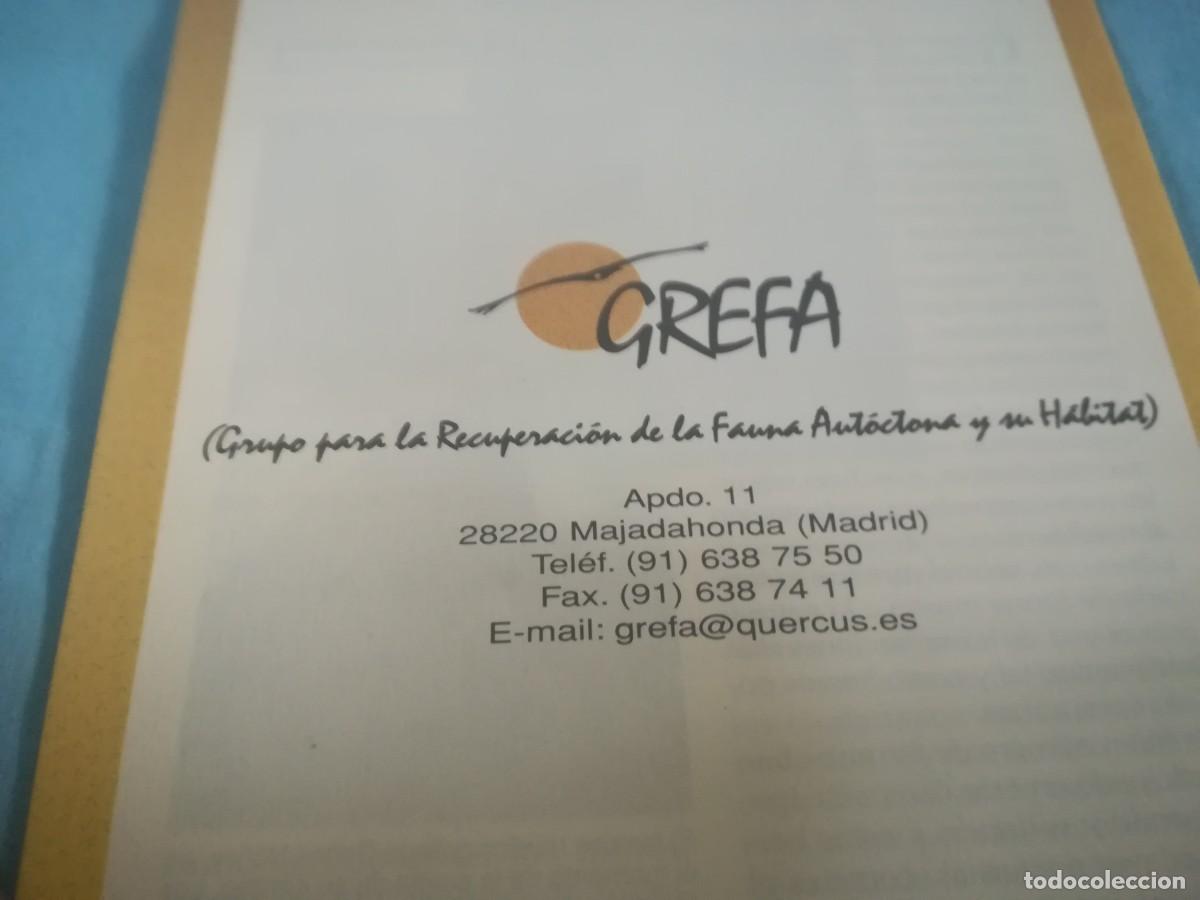Libros de segunda mano: LOS BUHOS, HIJOS DE LA NOCHE / 8 / CONS 650 / GREFA - Foto 3