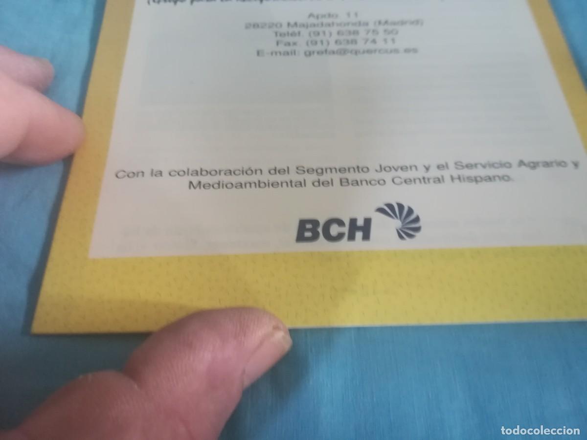 Libros de segunda mano: LOS BUHOS, HIJOS DE LA NOCHE / 8 / CONS 650 / GREFA - Foto 4
