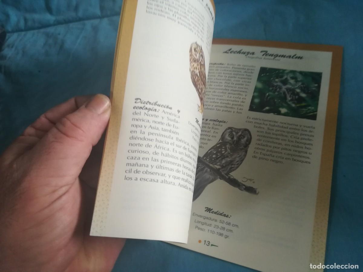 Libros de segunda mano: LOS BUHOS, HIJOS DE LA NOCHE / 8 / CONS 650 / GREFA - Foto 6