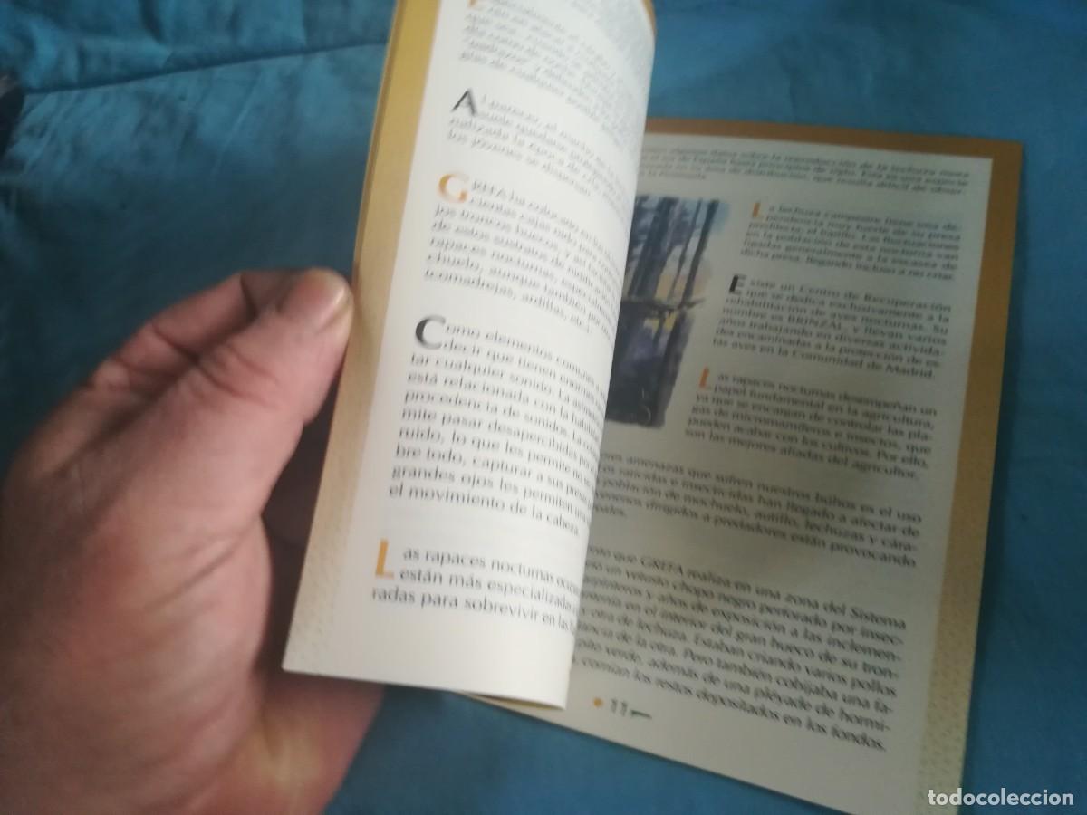 Libros de segunda mano: LOS BUHOS, HIJOS DE LA NOCHE / 8 / CONS 650 / GREFA - Foto 7