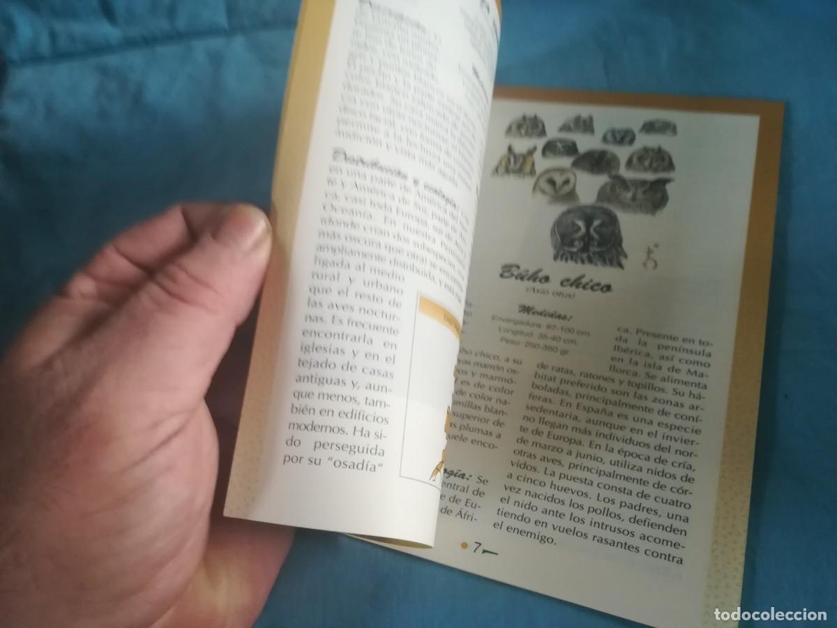 Libros de segunda mano: LOS BUHOS, HIJOS DE LA NOCHE / 8 / CONS 650 / GREFA - Foto 8