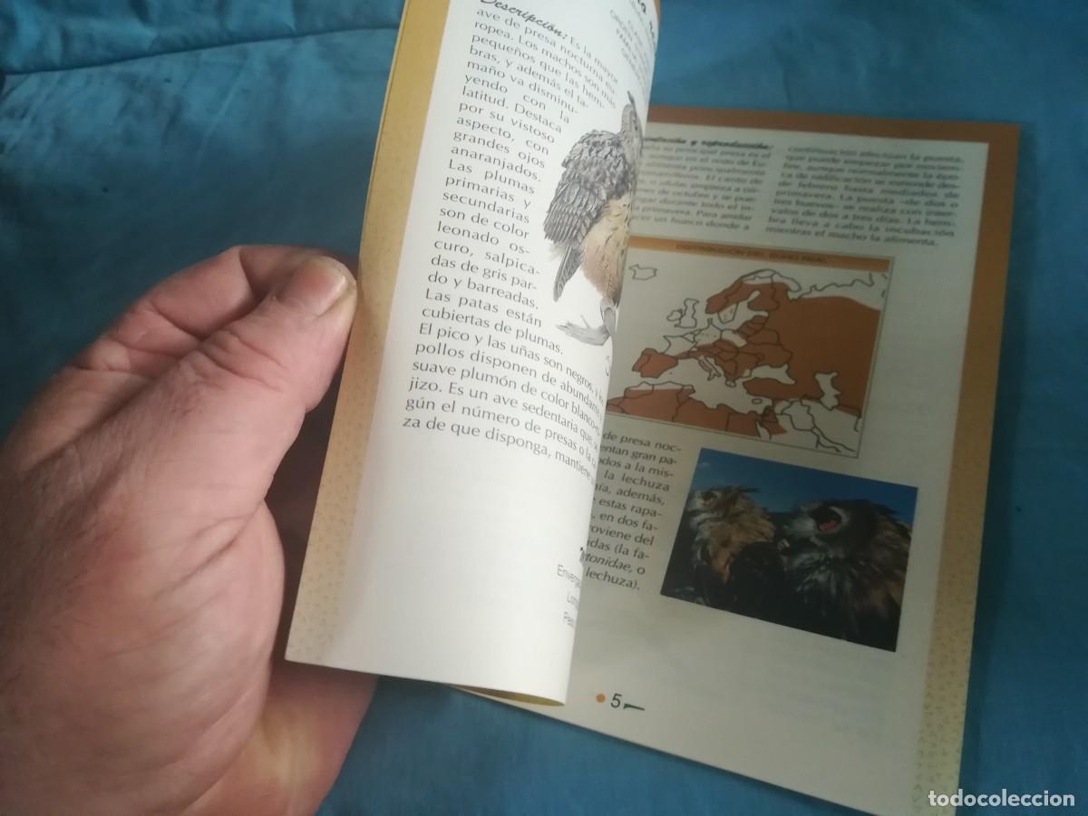 Libros de segunda mano: LOS BUHOS, HIJOS DE LA NOCHE / 8 / CONS 650 / GREFA - Foto 9