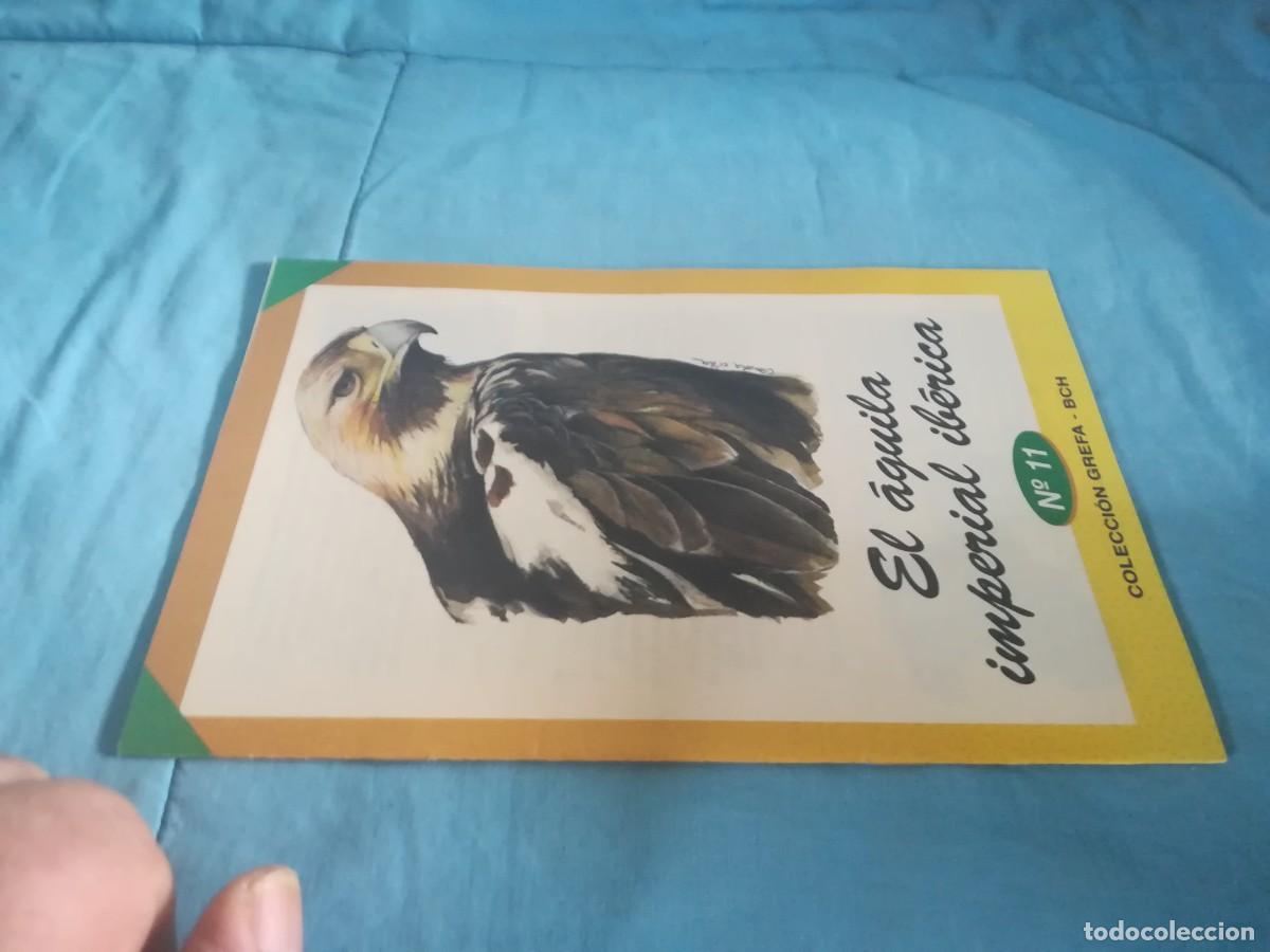 Libros de segunda mano: EL AGUILA IMPERIAL IBERICA / 11 / CONS 650 / GREFA - Foto 1