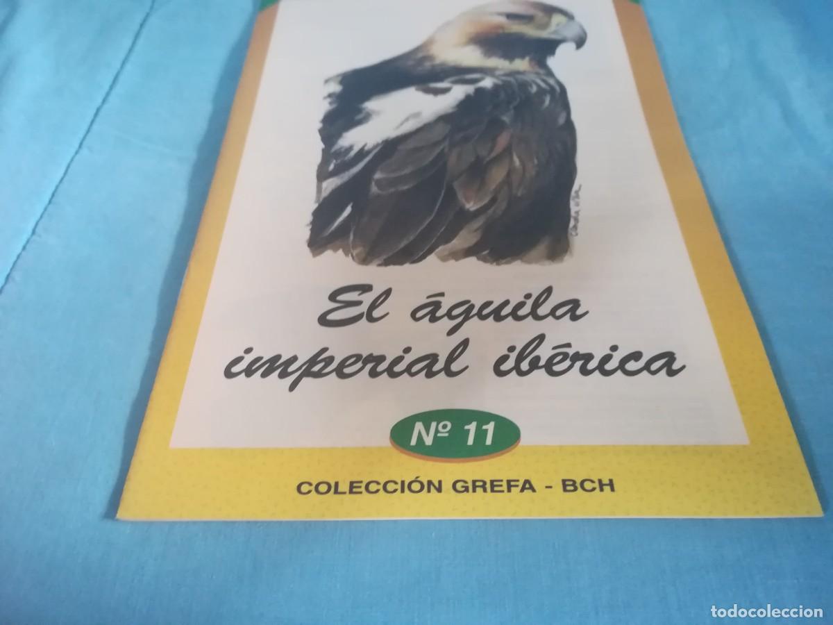 Libros de segunda mano: EL AGUILA IMPERIAL IBERICA / 11 / CONS 650 / GREFA - Foto 2