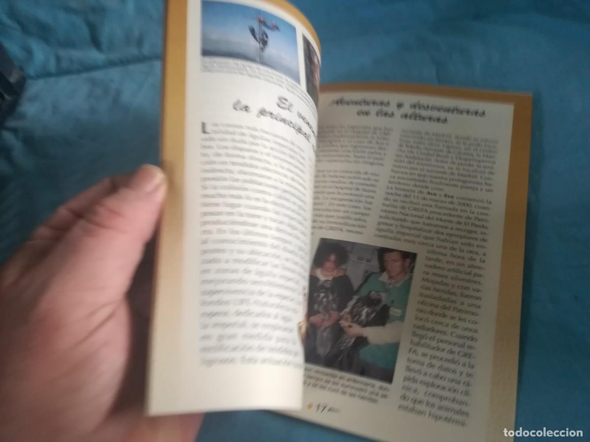 Libros de segunda mano: EL AGUILA IMPERIAL IBERICA / 11 / CONS 650 / GREFA - Foto 4