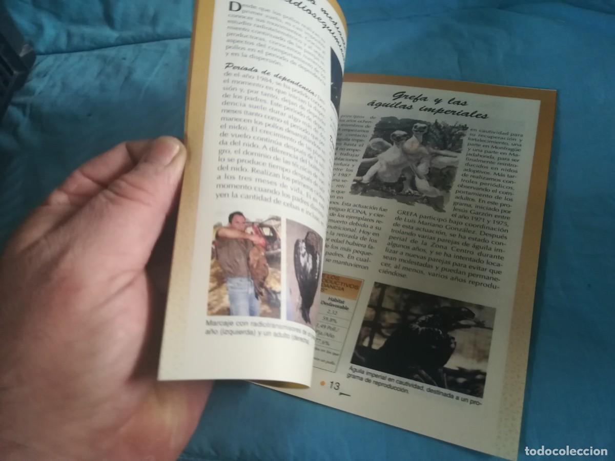 Libros de segunda mano: EL AGUILA IMPERIAL IBERICA / 11 / CONS 650 / GREFA - Foto 6