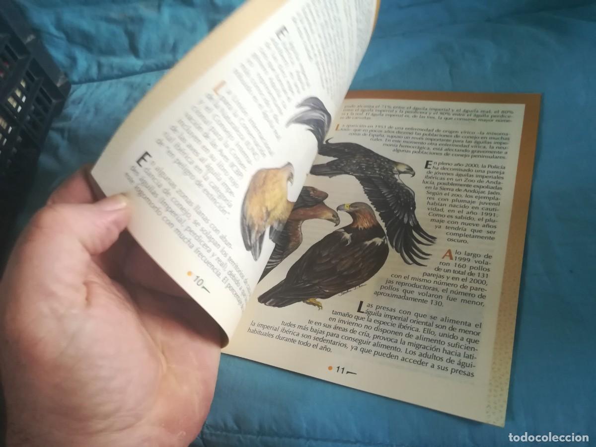 Libros de segunda mano: EL AGUILA IMPERIAL IBERICA / 11 / CONS 650 / GREFA - Foto 7