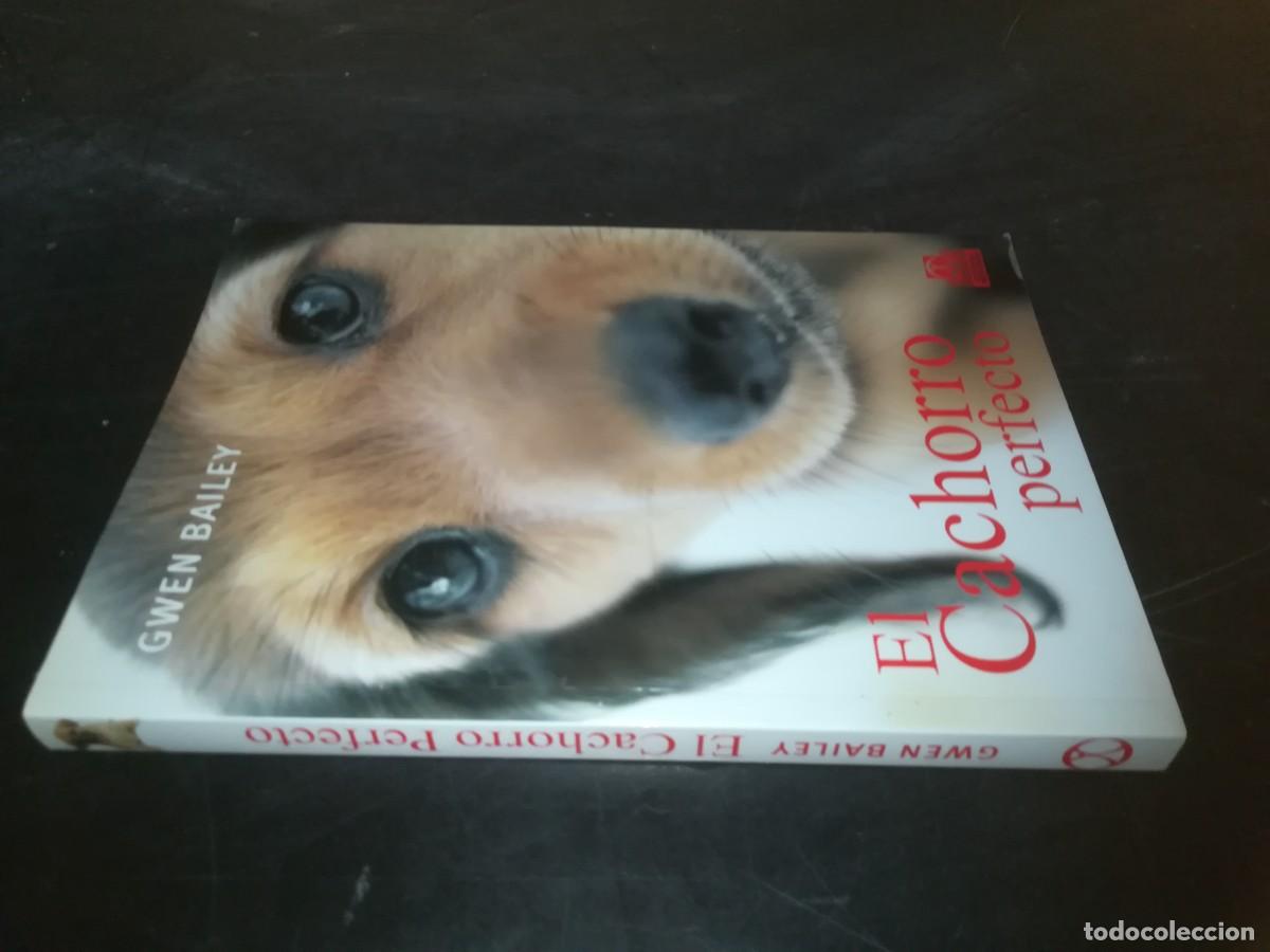 Libros de segunda mano: EL CACHORRO PERFECTO / GWEN BAILEY / CONS 667 - Foto 1
