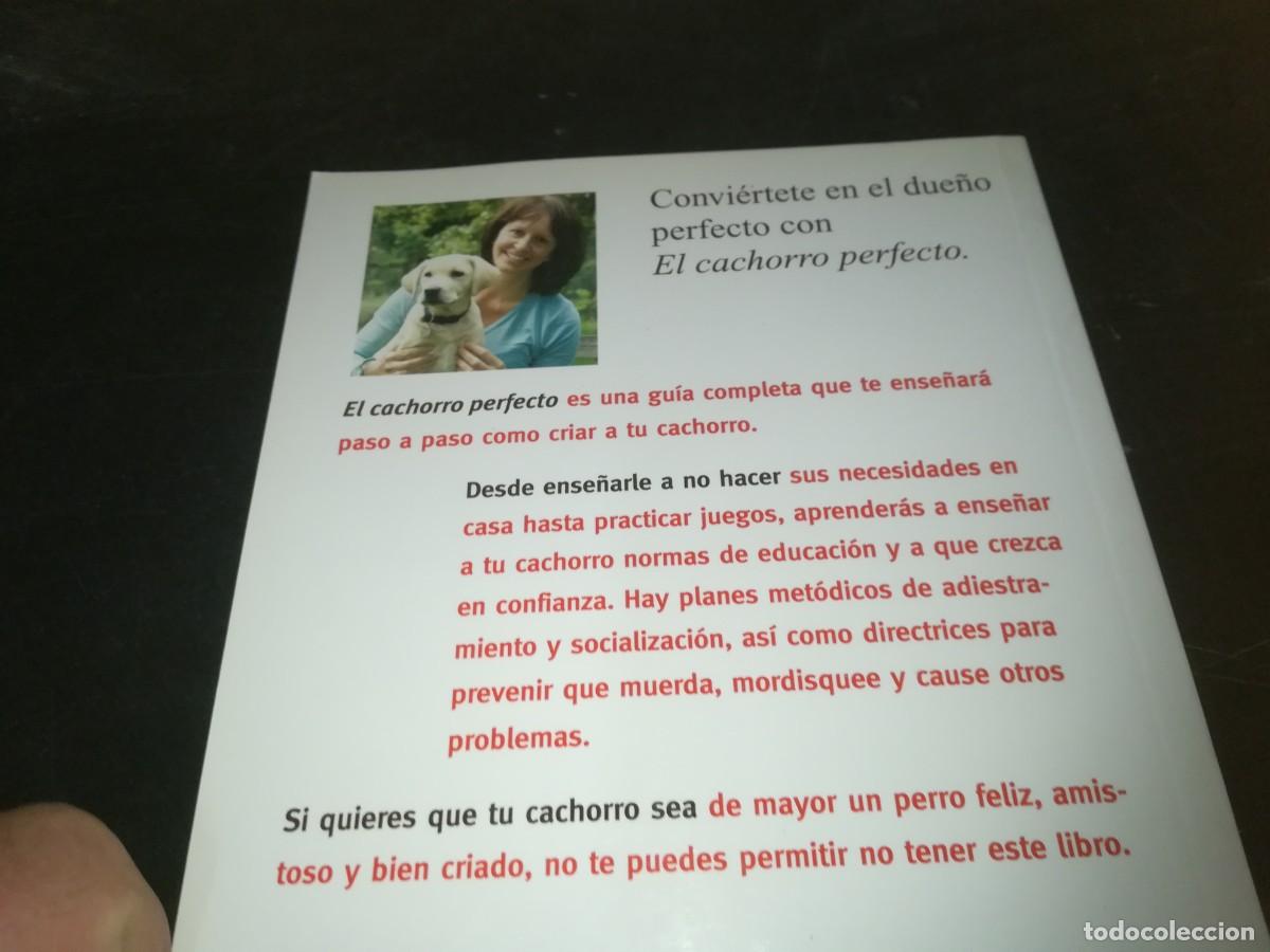 Libros de segunda mano: EL CACHORRO PERFECTO / GWEN BAILEY / CONS 667 - Foto 3