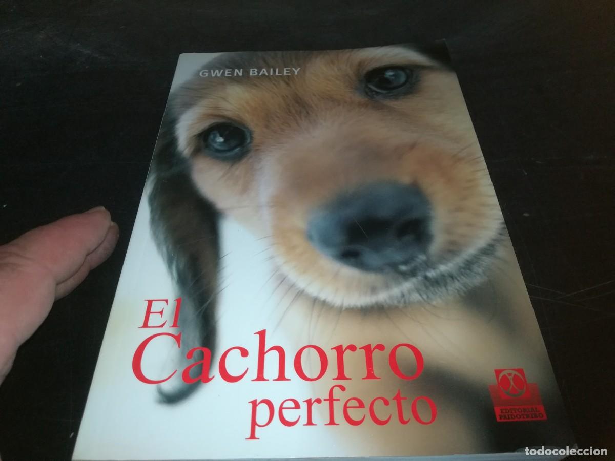 Libros de segunda mano: EL CACHORRO PERFECTO / GWEN BAILEY / CONS 667 - Foto 4