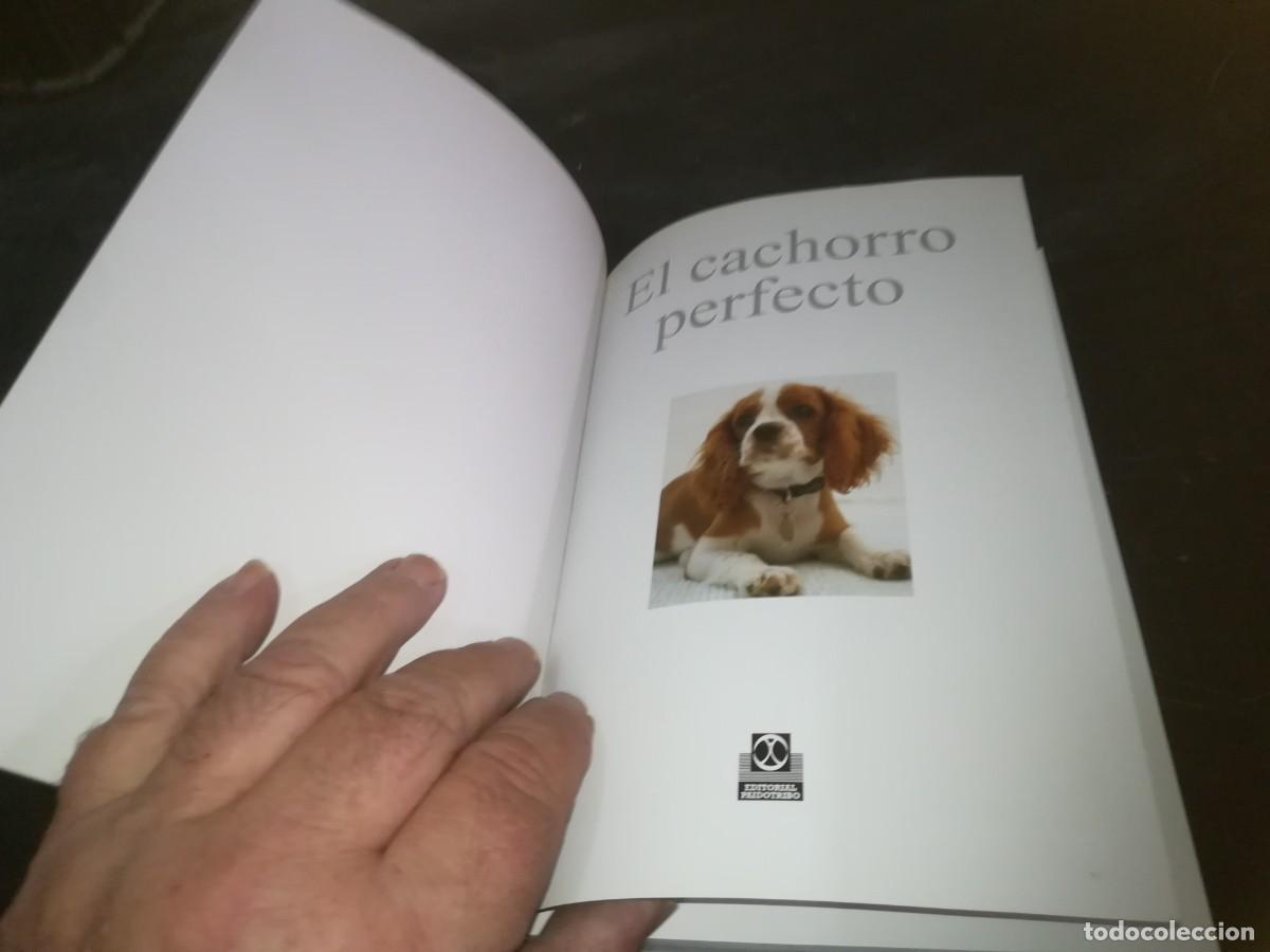 Libros de segunda mano: EL CACHORRO PERFECTO / GWEN BAILEY / CONS 667 - Foto 5