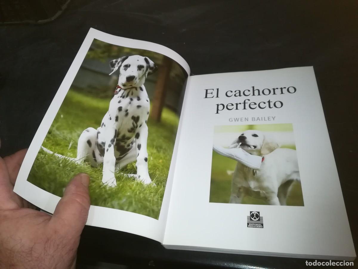 Libros de segunda mano: EL CACHORRO PERFECTO / GWEN BAILEY / CONS 667 - Foto 6