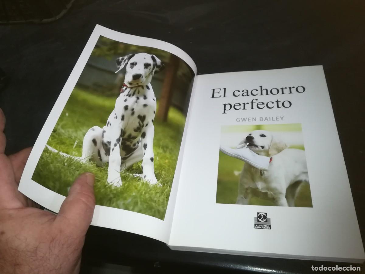 Libros de segunda mano: EL CACHORRO PERFECTO / GWEN BAILEY / CONS 667 - Foto 7