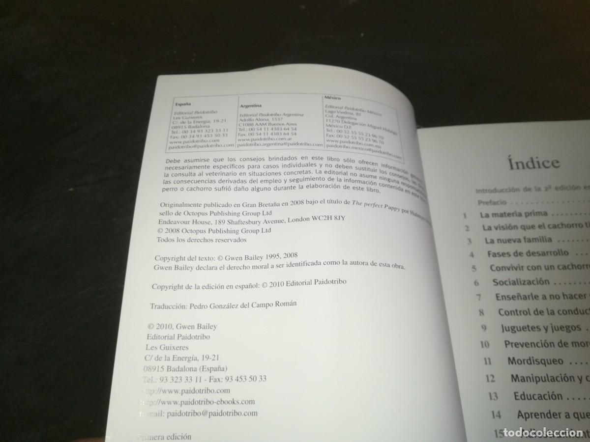 Libros de segunda mano: EL CACHORRO PERFECTO / GWEN BAILEY / CONS 667 - Foto 8