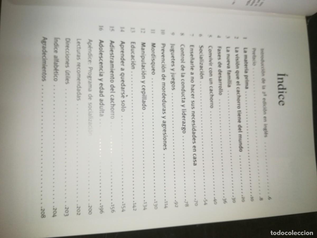 Libros de segunda mano: EL CACHORRO PERFECTO / GWEN BAILEY / CONS 667 - Foto 10