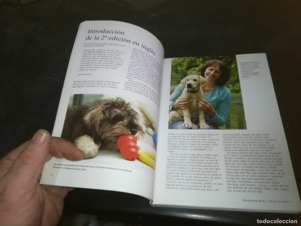 Libros de segunda mano: EL CACHORRO PERFECTO / GWEN BAILEY / CONS 667 - Foto 11