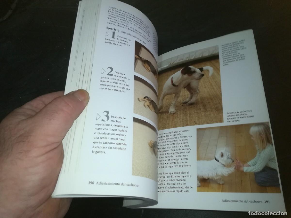 Libros de segunda mano: EL CACHORRO PERFECTO / GWEN BAILEY / CONS 667 - Foto 12