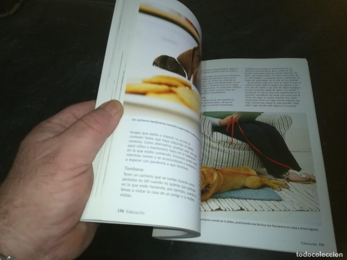 Libros de segunda mano: EL CACHORRO PERFECTO / GWEN BAILEY / CONS 667 - Foto 13