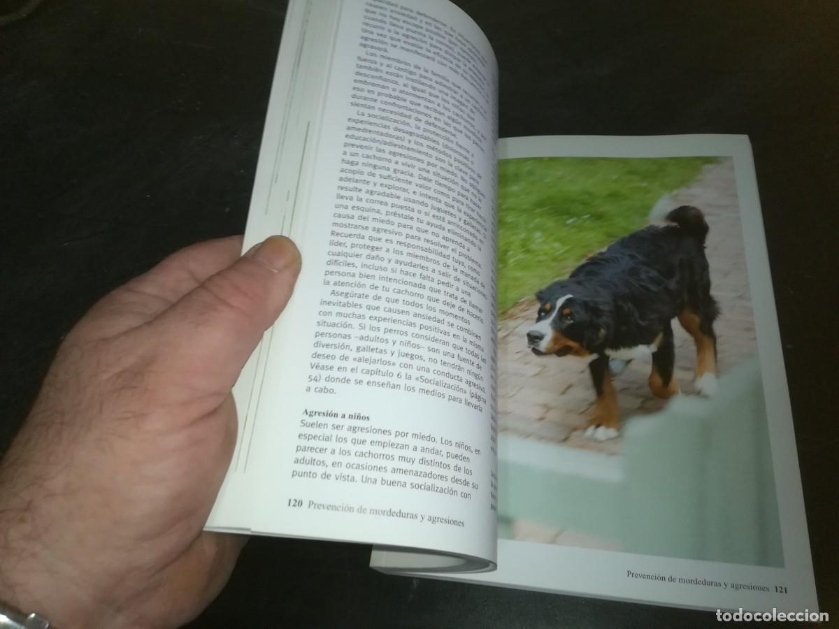 Libros de segunda mano: EL CACHORRO PERFECTO / GWEN BAILEY / CONS 667 - Foto 14