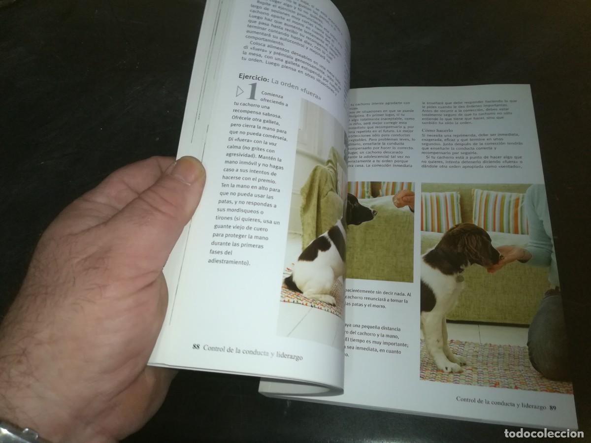 Libros de segunda mano: EL CACHORRO PERFECTO / GWEN BAILEY / CONS 667 - Foto 15