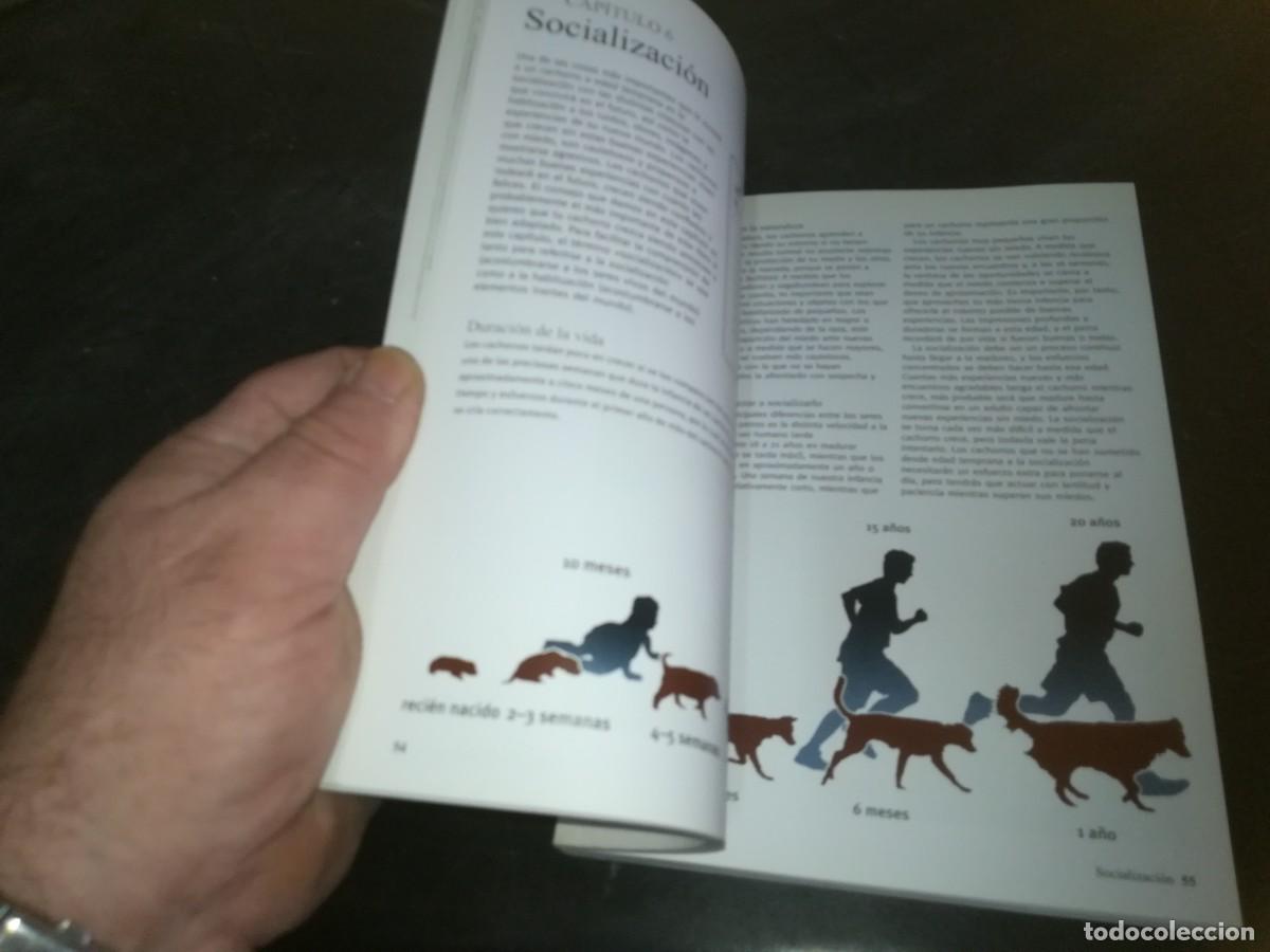Libros de segunda mano: EL CACHORRO PERFECTO / GWEN BAILEY / CONS 667 - Foto 16