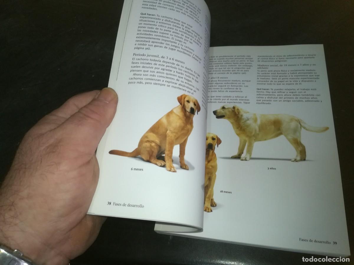 Libros de segunda mano: EL CACHORRO PERFECTO / GWEN BAILEY / CONS 667 - Foto 17