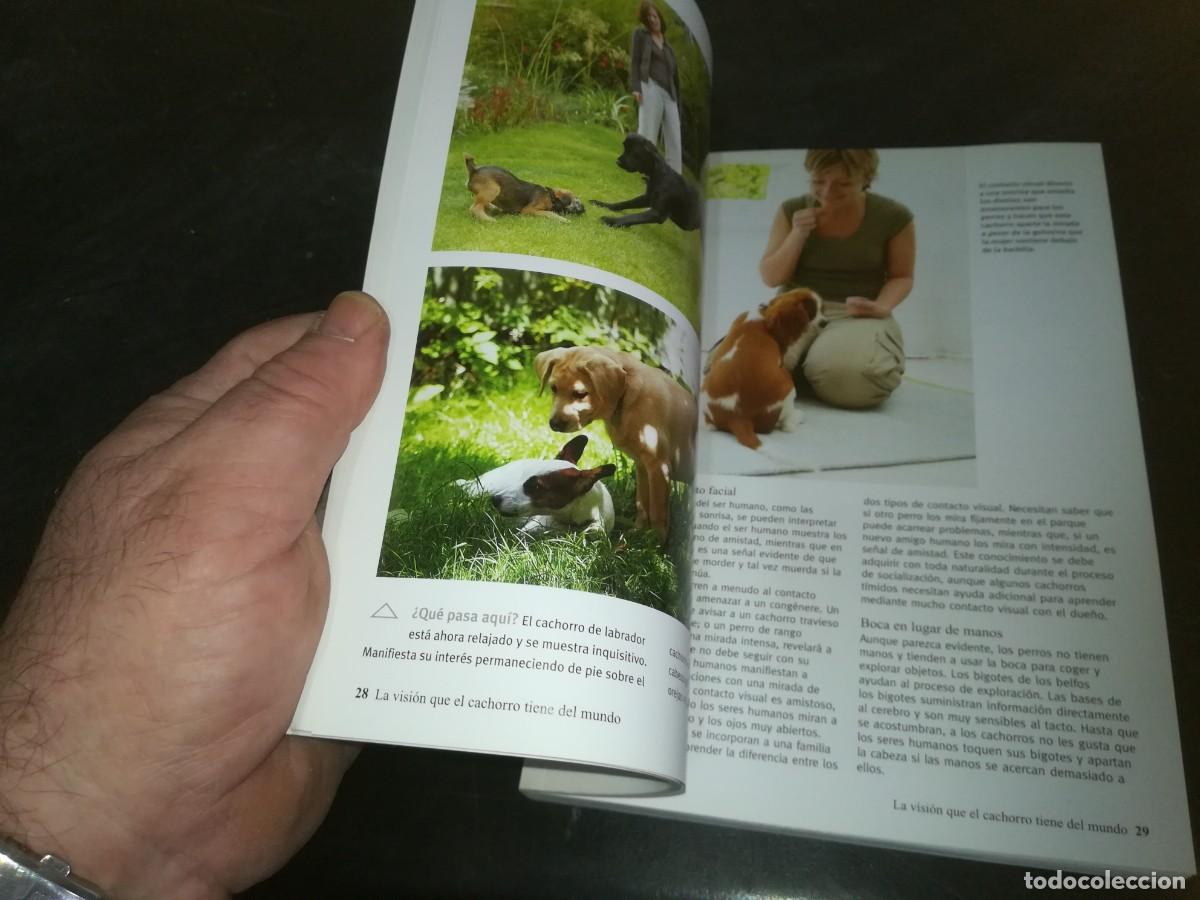 Libros de segunda mano: EL CACHORRO PERFECTO / GWEN BAILEY / CONS 667 - Foto 18