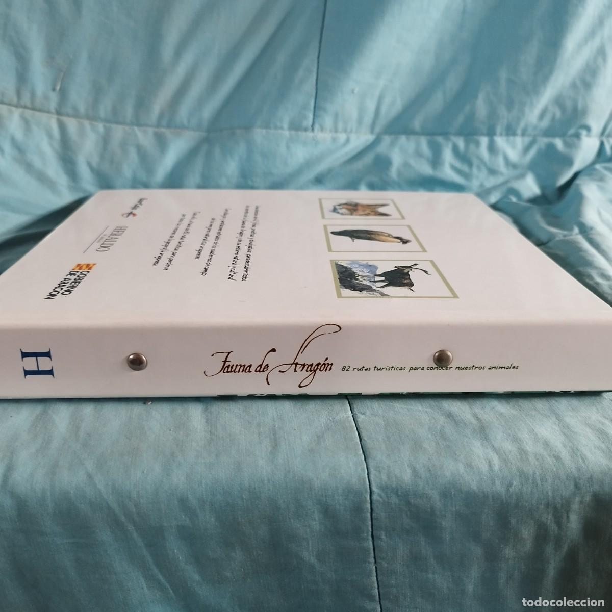 Libros de segunda mano: FAUNA DE ARAGON / 82 rutas turisticas / CONS 614GV - Foto 2