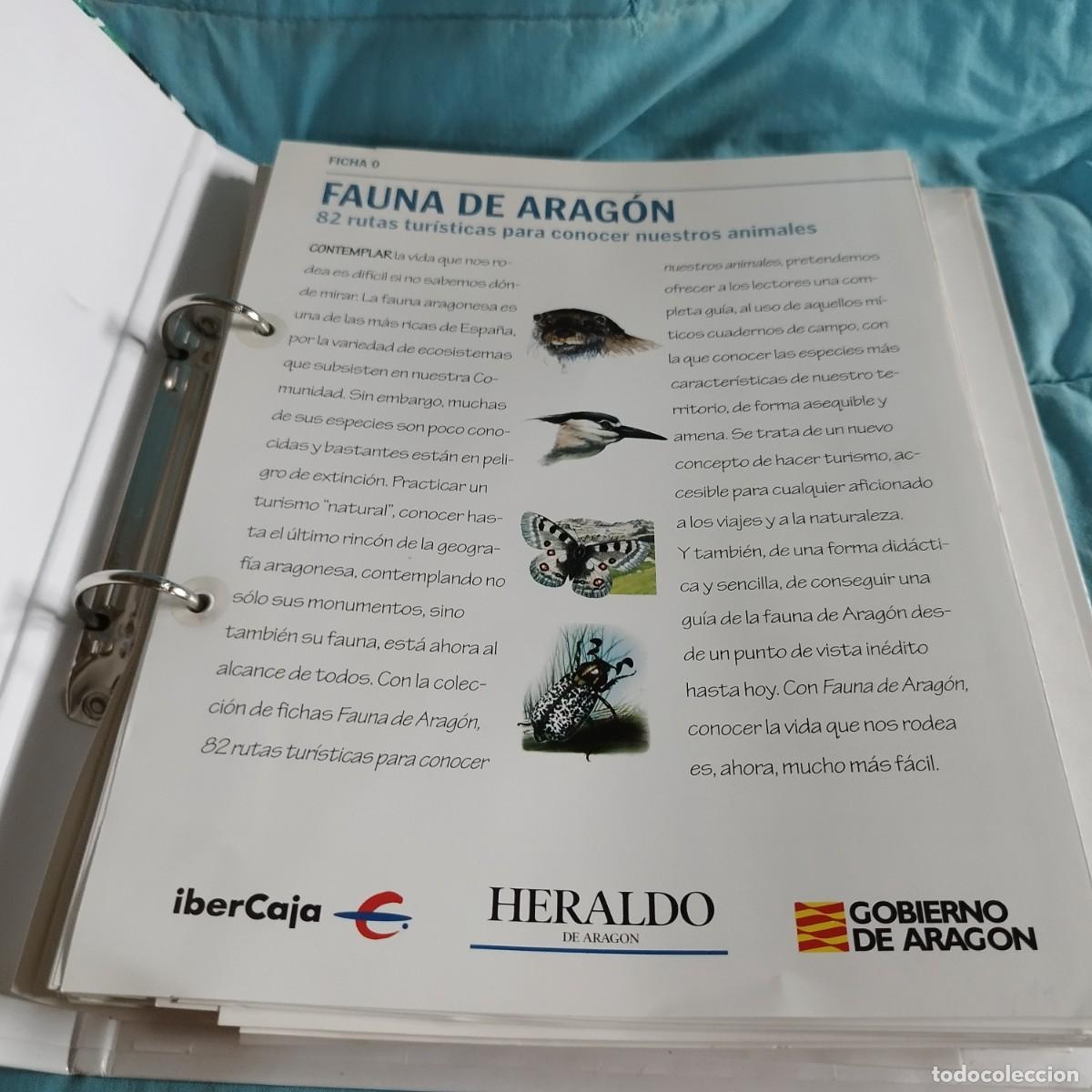Libros de segunda mano: FAUNA DE ARAGON / 82 rutas turisticas / CONS 614GV - Foto 3